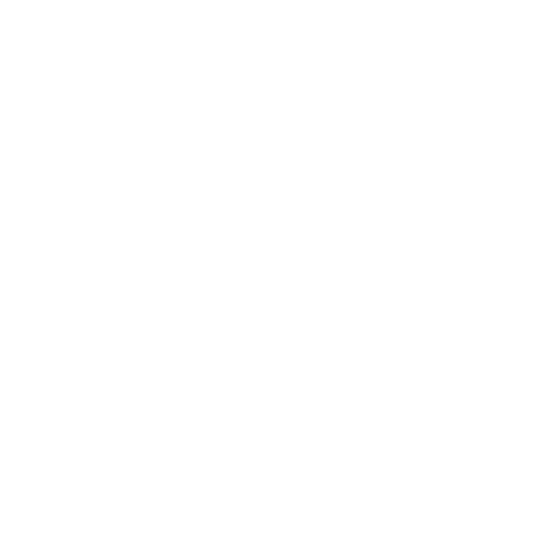 Vice